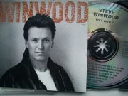 Steve Winwood - roll with it